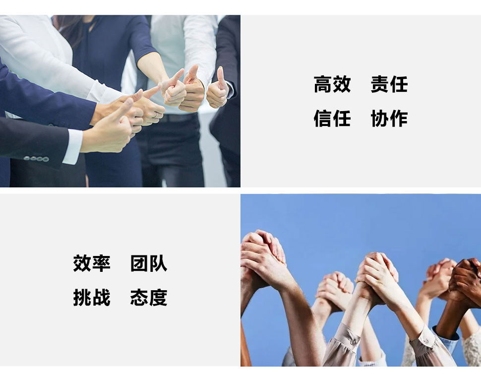 沈陽朗邁自動門有限公司